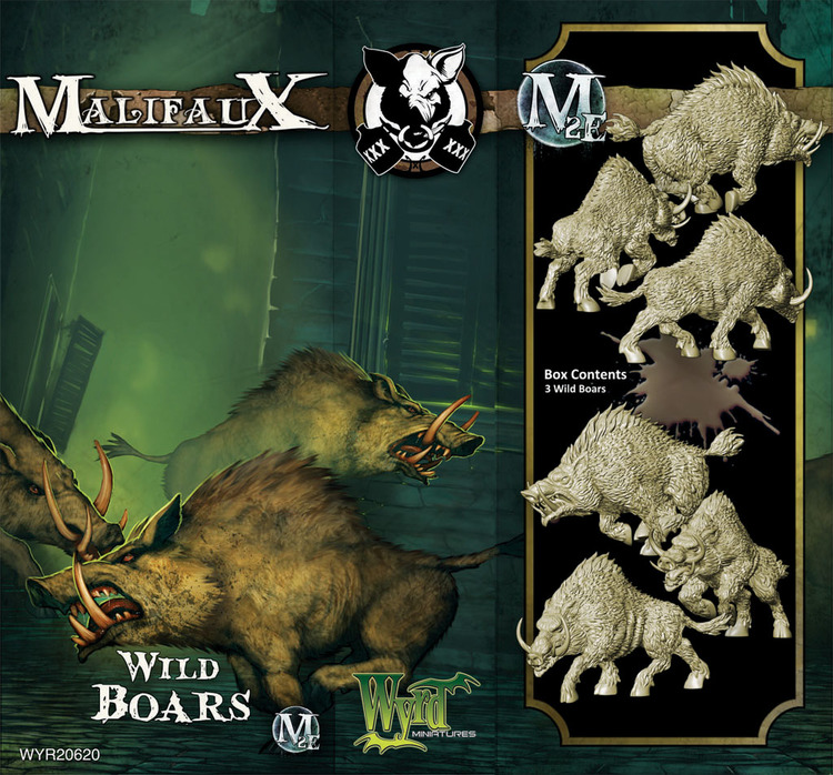 WYR20620-WildBoars